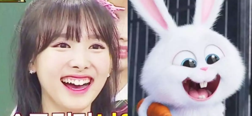 6 K-Pop idols and their physical peculiarity