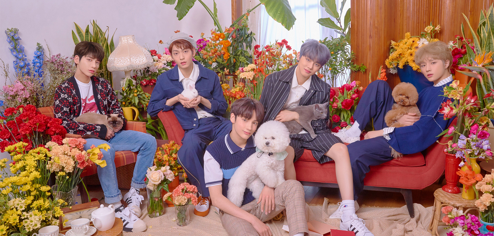 TXT uploads teasers for "Cat & Dog"