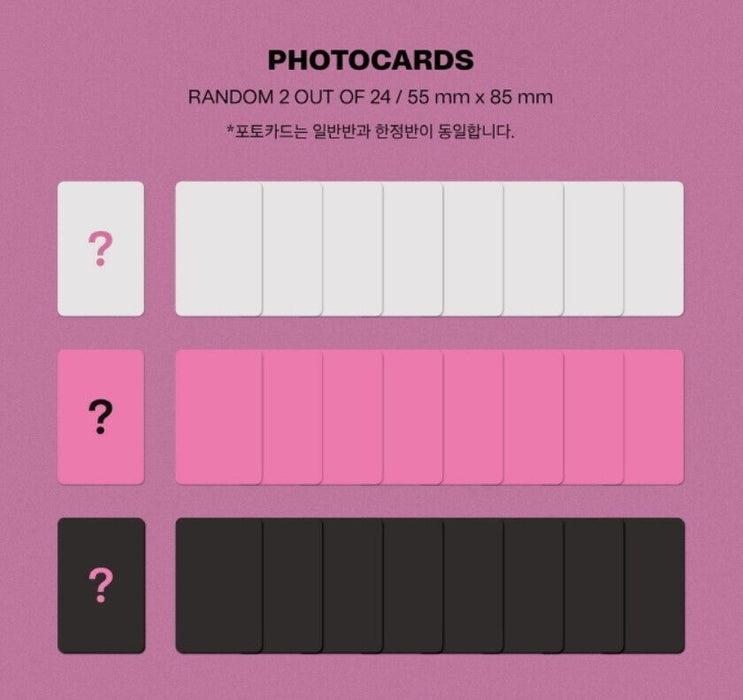 [PRE-ORDER] Stray Kids MAXIDENT LIMITED EDITION GO ver